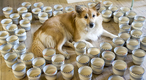 Hund i urtepotter-small