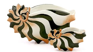 Argonauter-ny-small